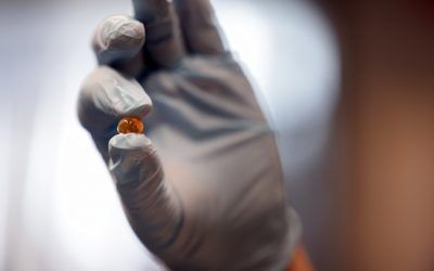 Guided drug delivery via carbon-based magnetic gel