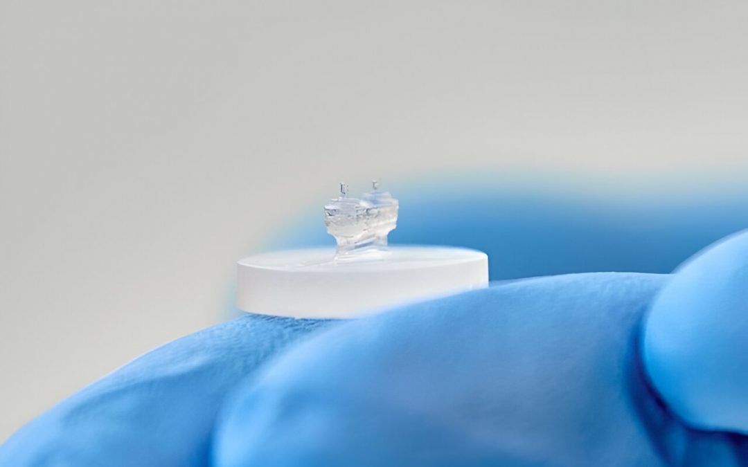 A new «heart on a chip» device that could replace animal traditional testing