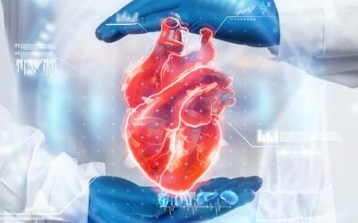 IA para guiar la ablación en taquicardia ventricular