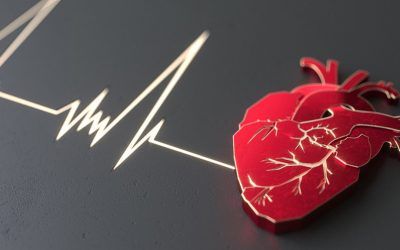 CardiologIA Madrid 365 monitoriza pacientes cardíacos en tiempo real con IA los 365 días del año