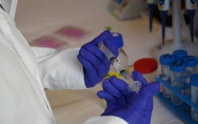 Hidrogel inyectable de biopolímeros naturales libera quimioterapia de forma local y sostenida