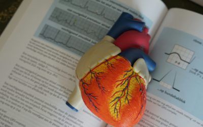 Una calculadora anticipa efectos adversos de la terapia combinada en insuficiencia cardíaca